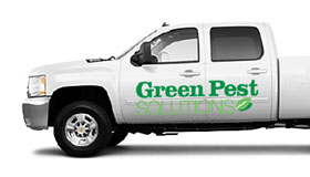Green Pest Solutions Identity
